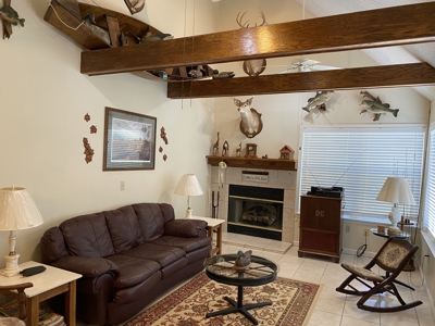 Seasonal River View Home In Town For Sale In Tn - image 30