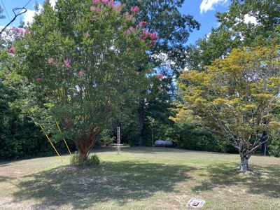 Seasonal River View Home In Town For Sale In Tn - image 15