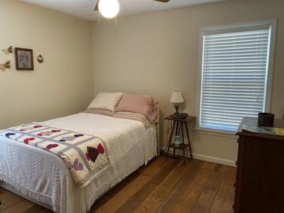 Seasonal River View Home In Town For Sale In Tn - image 7