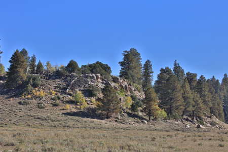 Colorado Recreation and Hunting Land - image 7