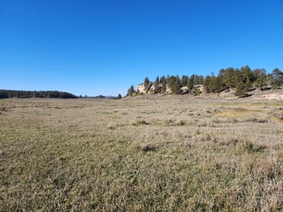 Colorado Recreation and Hunting Land - image 4