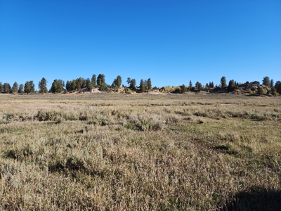 Colorado Recreation and Hunting Land - image 6