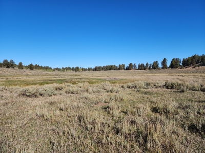 Colorado Recreation and Hunting Land - image 3
