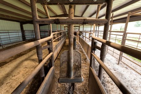 Southern Missouri Ranch For Sale - image 34