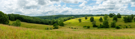 Southern Missouri Ranch For Sale - image 38