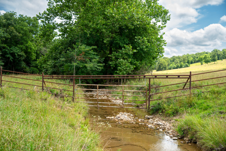 Southern Missouri Ranch For Sale - image 47
