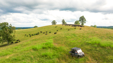 Southern Missouri Ranch For Sale - image 46