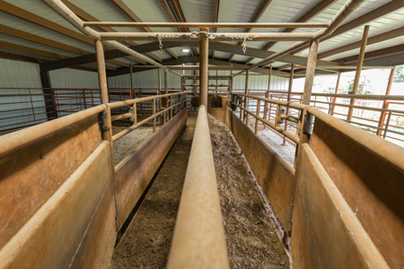 Southern Missouri Ranch For Sale - image 33