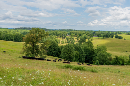 Southern Missouri Ranch For Sale - image 48