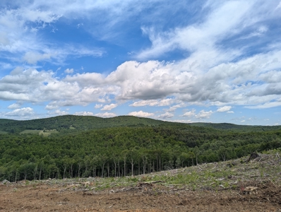 Land for Sale in Meadows of Dan VA - image 1