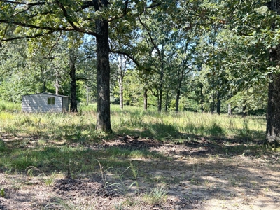 Farm for sale Sharp County Arkansas - image 39