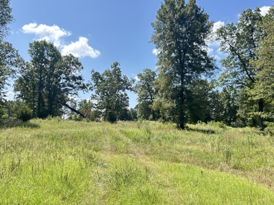 Farm for sale Sharp County Arkansas - image 44
