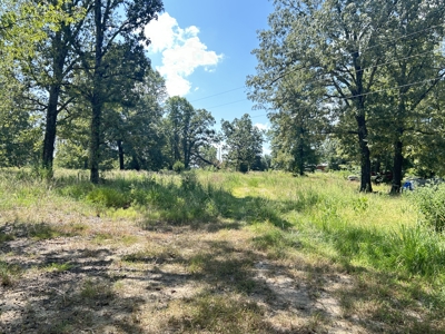 Farm for sale Sharp County Arkansas - image 40
