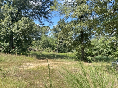 Farm for sale Sharp County Arkansas - image 43