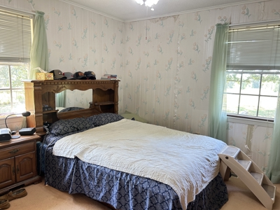 Farm for sale Sharp County Arkansas - image 14