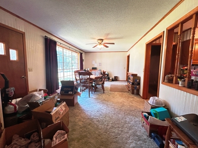 Farm for sale Sharp County Arkansas - image 6