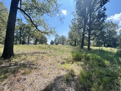 Farm for sale Sharp County Arkansas - image 42