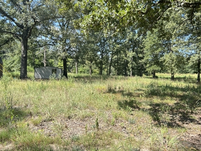 Farm for sale Sharp County Arkansas - image 41