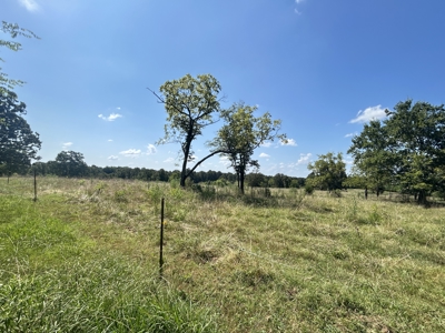 Farm for sale Sharp County Arkansas - image 36