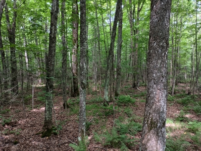 Acreage for Sale in Butternut, Wisconsin - image 11