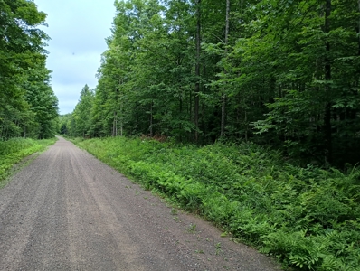 Acreage for Sale in Butternut, Wisconsin - image 7
