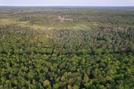 Acreage for Sale in Butternut, Wisconsin - image 1