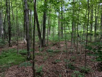 Acreage for Sale in Butternut, Wisconsin - image 4