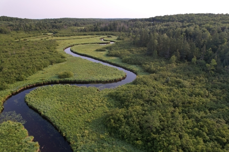 Acreage for Sale in Butternut, Wisconsin - image 3