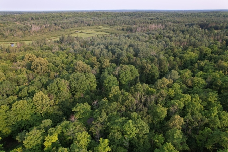 Acreage for Sale in Butternut, Wisconsin - image 2