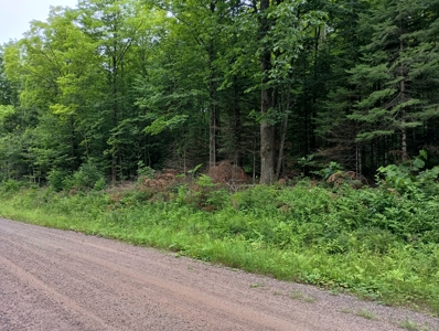 Acreage for Sale in Butternut, Wisconsin - image 15