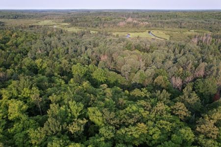 Acreage for Sale in Butternut, Wisconsin - image 17