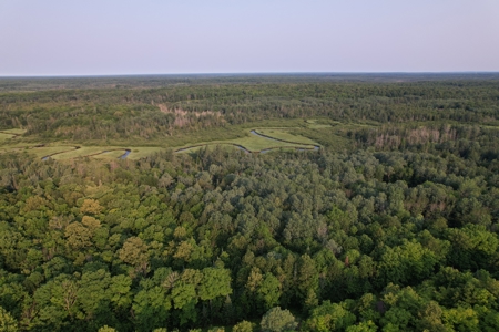 Acreage for Sale in Butternut, Wisconsin - image 6