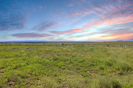 Home and Acreage for Sale in Roy, NM, Harding County, 127 Acres - image 41