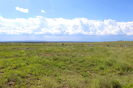Home and Acreage for Sale in Roy, NM, Harding County, 127 Acres - image 26