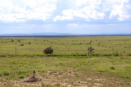 Home and Acreage for Sale in Roy, NM, Harding County, 127 Acres - image 7
