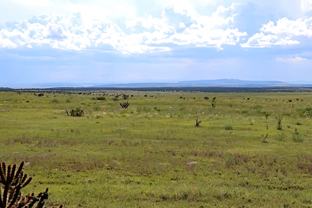 Home and Acreage for Sale in Roy, NM, Harding County, 127 Acres - image 9