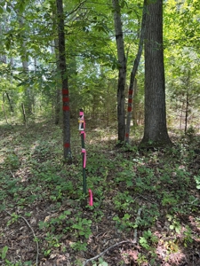 Build Your Dream Home on Kerr Lake's Shoreline - image 9