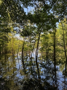 Build Your Dream Home on Kerr Lake's Shoreline - image 10