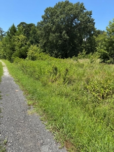 Build Your Dream Home on Kerr Lake's Shoreline - image 7