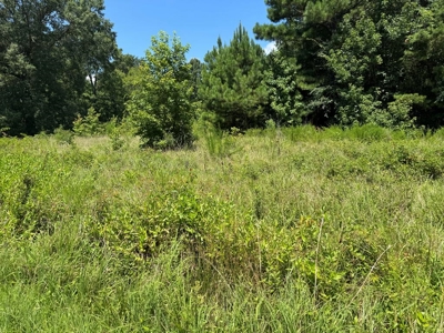 Build Your Dream Home on Kerr Lake's Shoreline - image 8