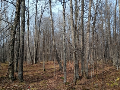 Land for Sale in Glidden, Wisconsin - image 22