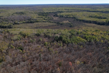 Land for Sale in Glidden, Wisconsin - image 13