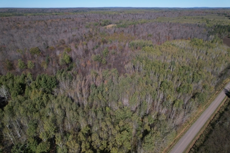 Land for Sale in Glidden, Wisconsin - image 16