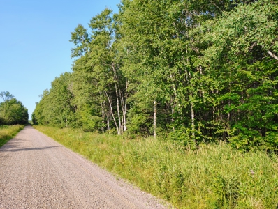 Land for Sale in Glidden, Wisconsin - image 10