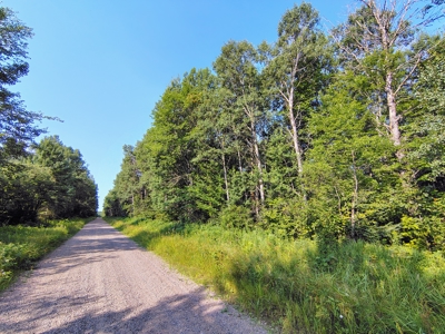 Land for Sale in Glidden, Wisconsin - image 1