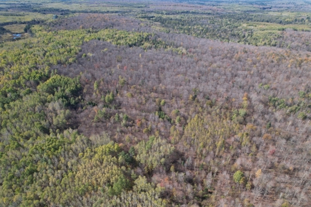 Land for Sale in Glidden, Wisconsin - image 17