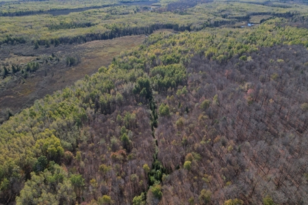 Land for Sale in Glidden, Wisconsin - image 15