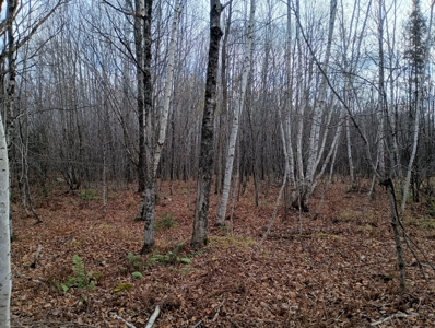 Land for Sale in Glidden, Wisconsin - image 19