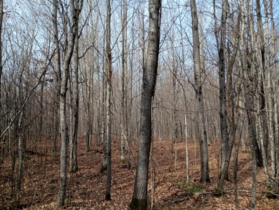 Land for Sale in Glidden, Wisconsin - image 23