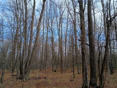 Land for Sale in Glidden, Wisconsin - image 25
